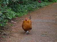 IMG_3337.webp
