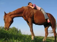 18.webp