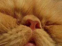 PA091254.webp