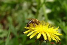 DSC00651_resize.webp