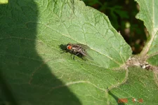 DSC00649_resize.webp