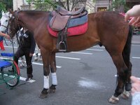 IMG_2506.JPG