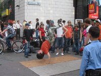 IMG_2510.JPG
