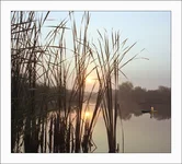 187757.webp