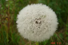 DSC00820_resize.webp