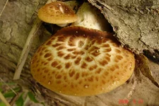 DSC00855_resize.webp