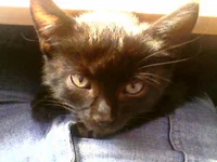 Photo-0211.jpg