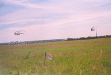 untitled1.gif