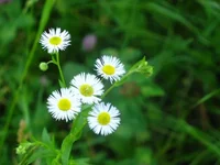 248343KLH.webp