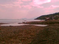 12.webp