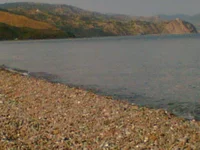 13.webp