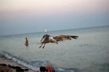 DSC_4051.webp