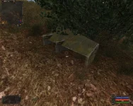 5.JPG