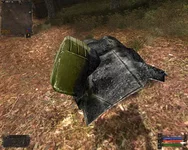 6.JPG