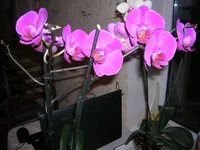 DSCN6145.jpg