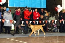 getImage (39).webp