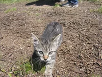 _2.webp