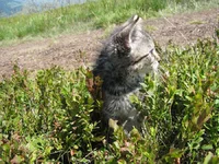 _3.webp