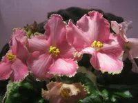IMG_4665.webp