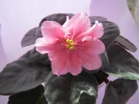 IMG_4659.webp