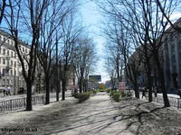 IMG_1324.webp
