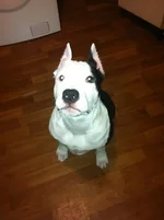 UGmkmqPanCQ.webp