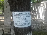 obj.webp