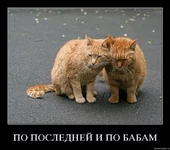 x_19bba2f7.jpg