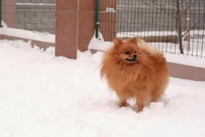 G2OTLUbhkj8.webp