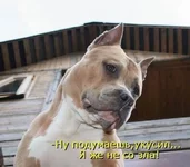 6YiLtQE7rQU.webp