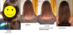 26042012469[1] - копия.webp