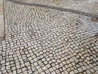 904458.webp