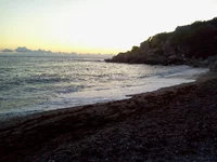 0250.webp