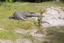1W6B4825.webp