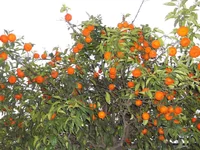 906582.webp