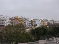 906593.webp