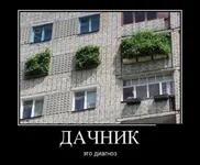 -это диагноз.webp