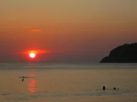 IMG_4126.jpg