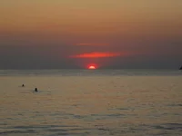 IMG_4132.jpg