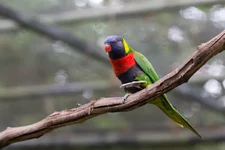 1W6B4918.webp
