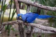 1W6B4946.webp