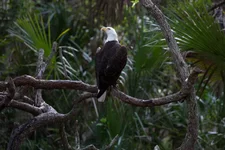 1W6B4860.webp