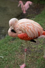 1W6B4876.webp