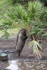 1W6B4936.webp
