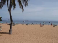 908238.webp