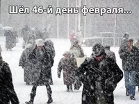 46 день.webp