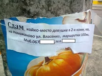0360.webp