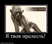 Bn75T7bQ.webp