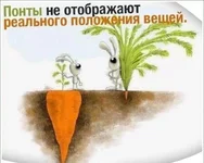 JJqTMpeauHU.webp