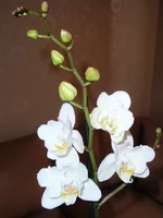 P3236131_.jpg